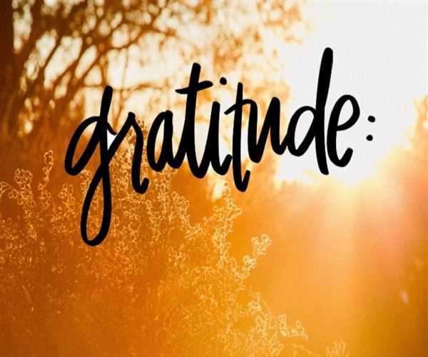Why Gratitude is the Secret to a Happier Life