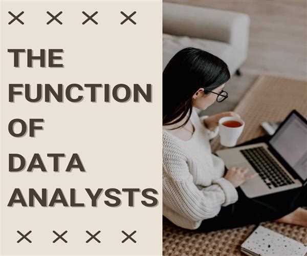 The function of Data Analysts