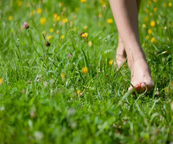Why Walking Barefoot on Grass Can Improve Your Health
