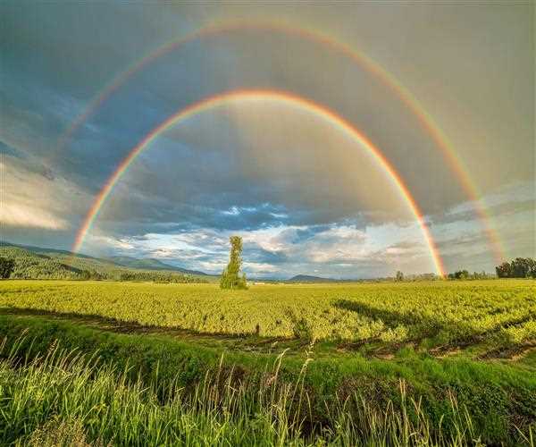 Why We See Rainbows – The Science of Light and Refraction