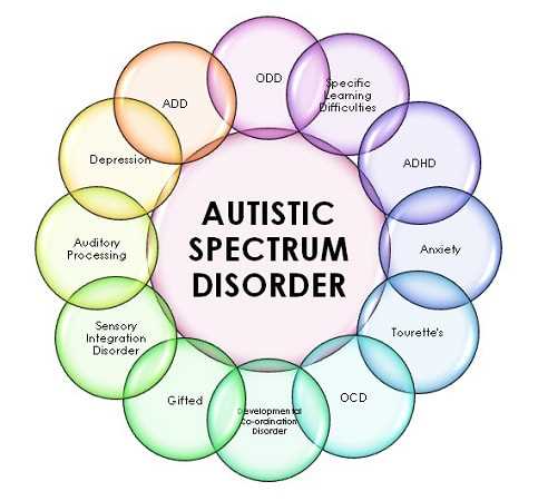 Top three common issues for an autistic person
