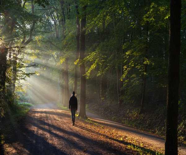 The Role of Solitude in Boosting Creativity