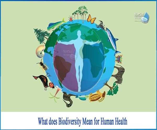 Biodiversity And Human Health.