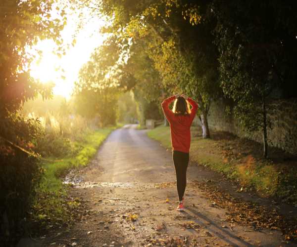 How Nature Walks Can Heal Your Mind and Body
