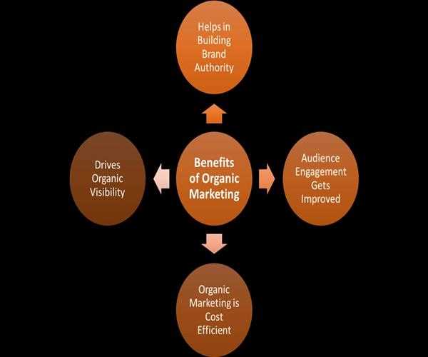 How to evaluate the effective organic marketing