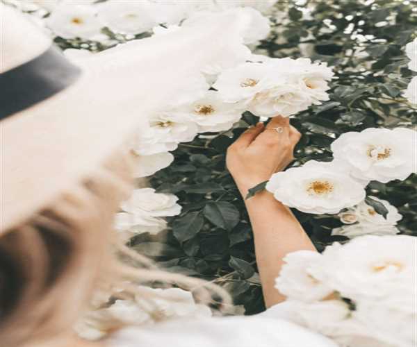 How to Romanticize Your Life and Make Every Day Special