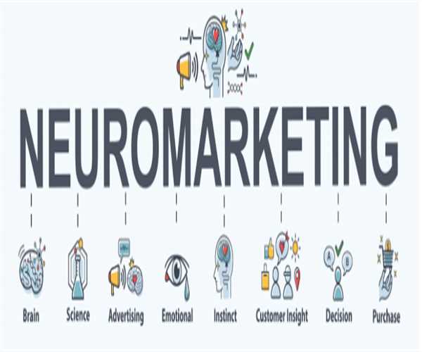 Applications Of Neuromarketing Sciences On Digital Marketing Models ...